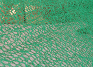 ����(y��ng)���S�����W(w��ng)�|