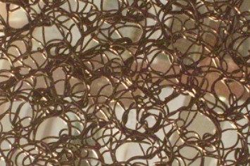 �����W(w��ng)