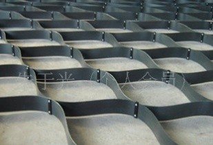 �ߏ���������