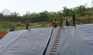 �h(hu��n)������Ĥ