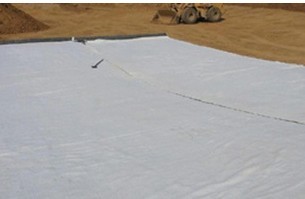 ��(f��)������Ĥ