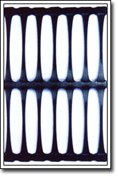 ��������۱�ϩ�������