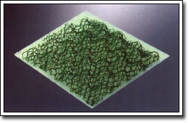 ���S�����W(w��ng)�|