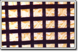 ��(j��ng)����]���