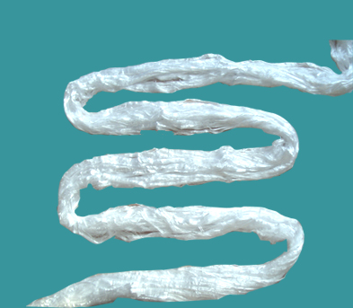 �۱�ϩ�����w�S