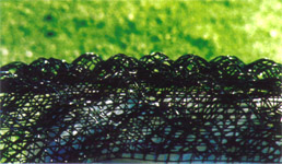 ���Sֲ���W�|