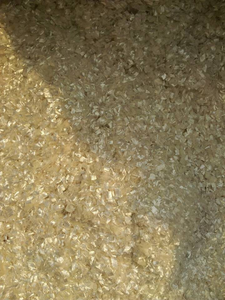 �����w�S