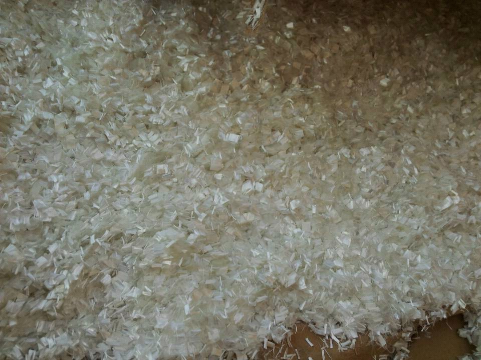 �����w�S