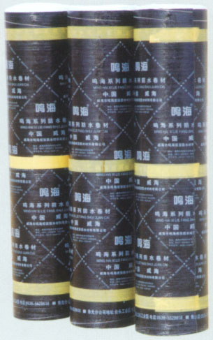 SBS�����w�r���ˮ����