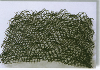 ���Sֲ���W