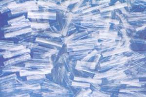 �۱�ϩ�W���w�S