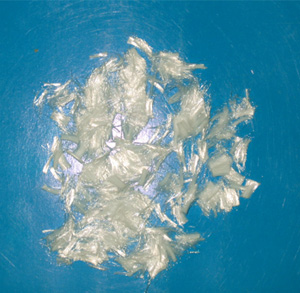 �����w�S