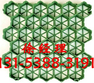 ����ֲ�ݸ�S��