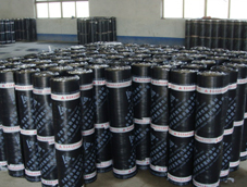 (yng)ʥƇ(gu)(bio)ؓ(f)5SBSˮľ̥