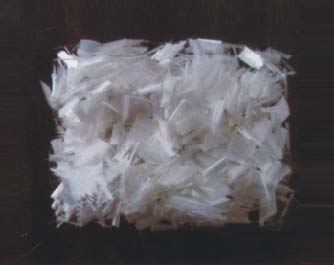 �����w�S