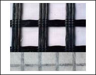 �����w�S�������