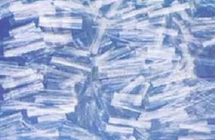 �۱�ϩ�W���w�S