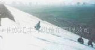 �ǿ���������