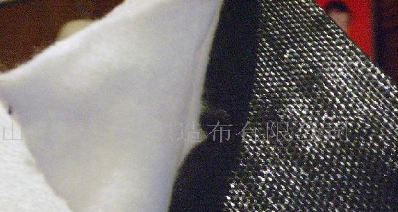 �ͺ�����Ĥ