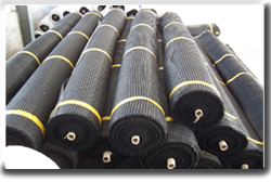 �����ؑc�؅^���N��̖�������