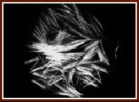 �۱�ϩ�����w�S