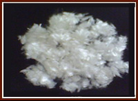 �����w�S