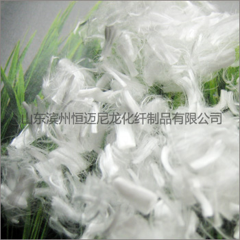 �����w�S