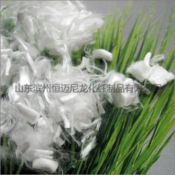 �����w�S