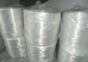 �ЉA�����w�S�z