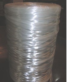 �߉A�����w�S