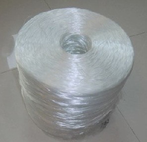 �o�A�����w�S�ּ�