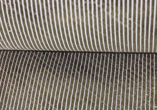 ����r�w�S��