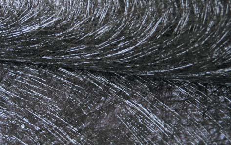 ����r�w�S����ԭ�z��