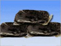 �����z��