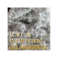 ����ľ�|���w�S