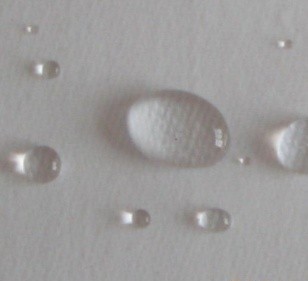 729��Ĥ�V��/729���m�V��