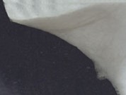 �L�z������