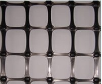 �p���������