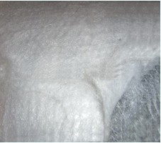 �o��������