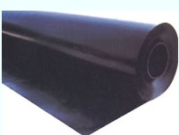 ��(f��)������Ĥ