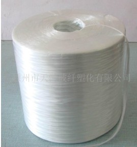 �ЉA�����w�S