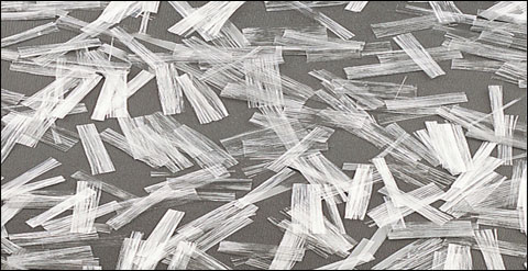 �۱�ϩ�W���w�S