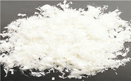 �����w�S