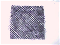 ���S�����W�|