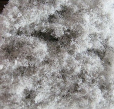 ����ľ�|�w�S