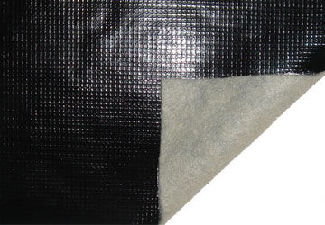 �����ͺ�����Ĥ