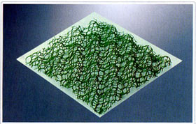 �����W�|