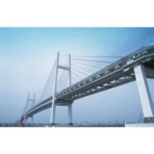 ������ɰ�{�S��