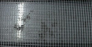 �W��~~�����w�S