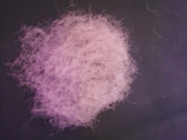 �����w�S